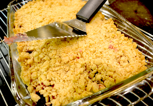 http://www.boomerbrief.com/Just Desserts/Crumble%20In%20the%20pan-600.jpg